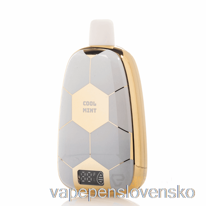 Ronaldinho 10 15k Jednorazovy Cool Mint Vape Slovensko